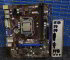 Комплект Msi H81M-P33 (1150 сокет) + Pentium G3260